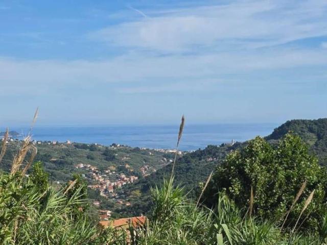Rustico in vendita a Leivi, Liguria