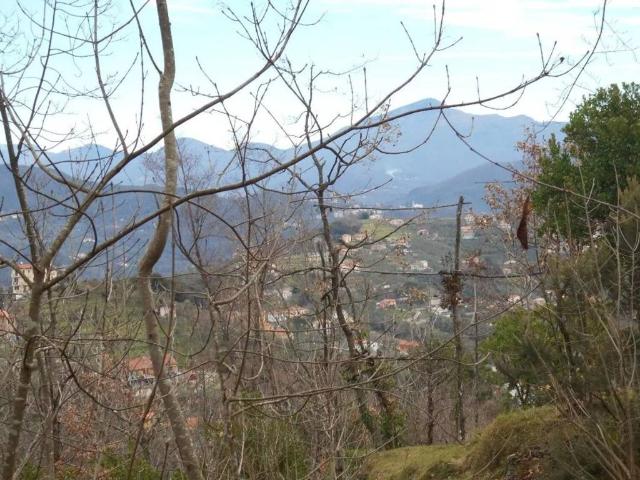 Rustico in vendita a Leivi, Liguria