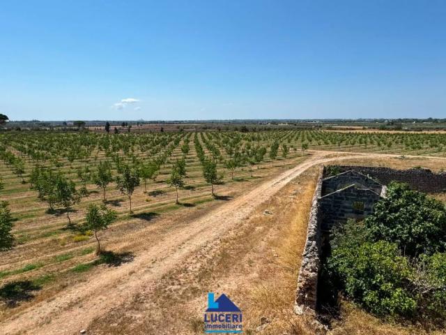 Rustico in vendita a Puglia, Lecce