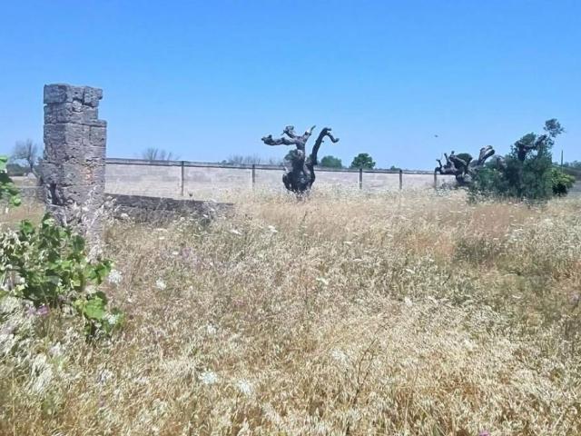 Rustico in vendita a Puglia, Lecce