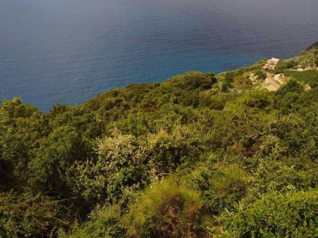 Rustico in vendita a Levanto, Liguria