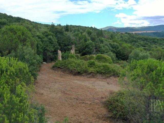 Rustico in vendita a Lisciano Niccone, Umbria
