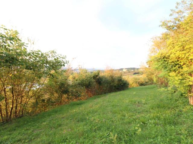 Rustico in vendita a Lonigo, Veneto