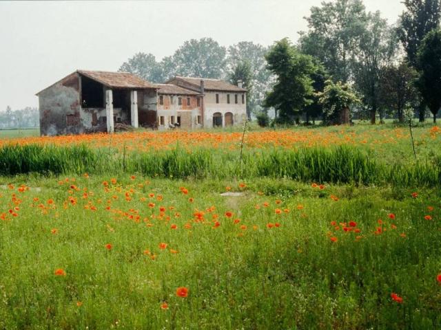 Rustico in vendita a Loreggia, Veneto