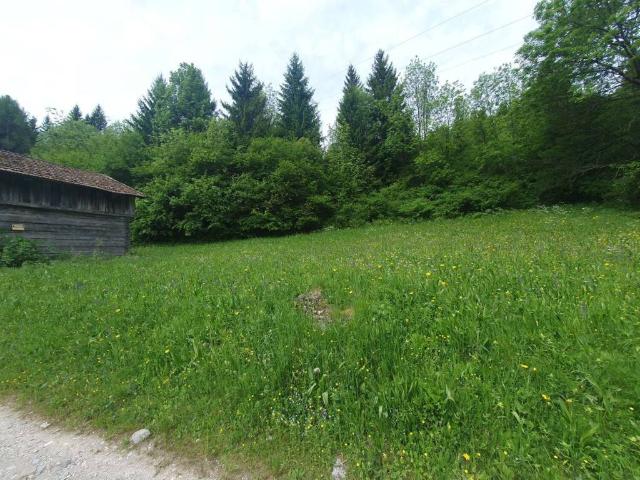 Rustico in vendita a Lozzo Di Cadore, Veneto