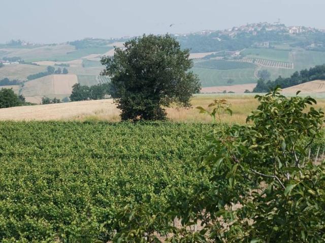 Rustico in vendita a Lu e Cuccaro Monferrato, Piemonte