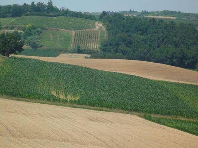 Rustico in vendita a Lu e Cuccaro Monferrato, Piemonte
