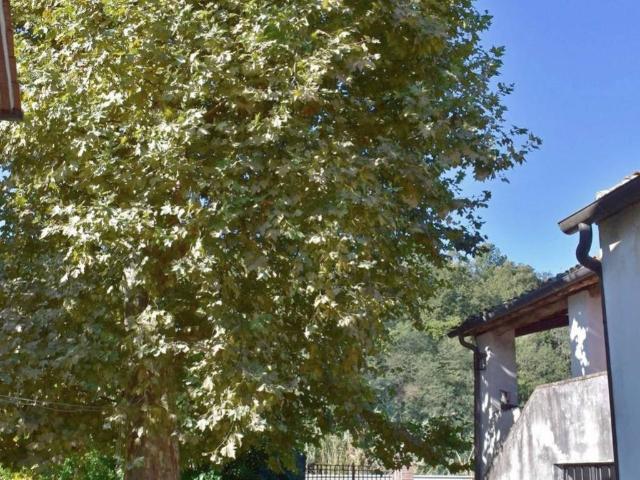 Rustico in vendita a Bagni Di Lucca Ponte, Toscana