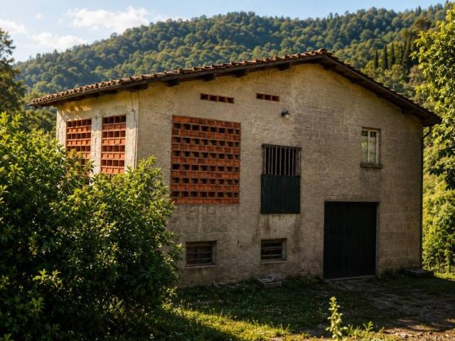 Rustico in vendita a Bagni Di Lucca Ponte, Toscana