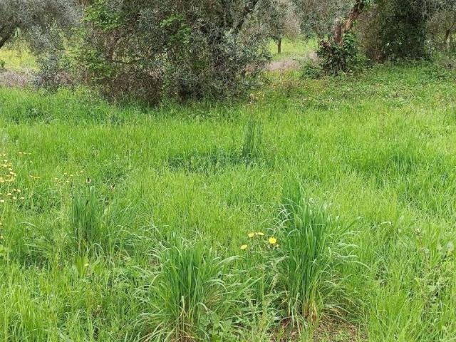 Rustico in vendita a San Lorenzo a Vaccoli, Bagni Di Lucca Ponte