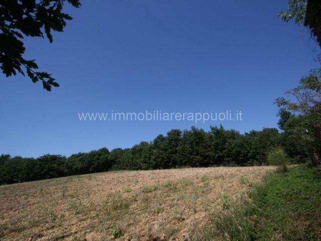 Rustico in vendita a Lucignano, Toscana