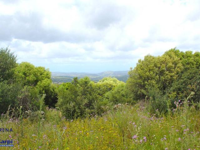 Rustico in vendita a Luogosanto, Sardigna/Sardegna