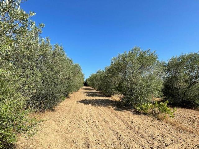 Rustico in vendita a Luogosanto, Sardigna/Sardegna