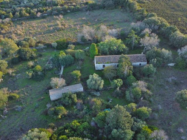 Rustico in vendita a Luogosanto, Sardigna/Sardegna