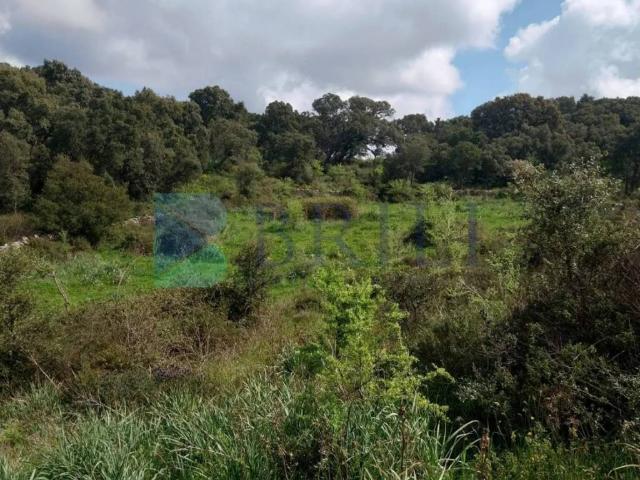 Rustico in vendita a Luras, Sardigna/Sardegna