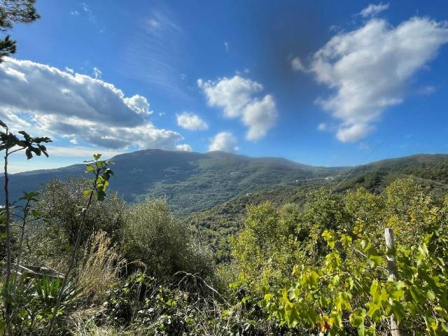 Rustico in vendita a Lustra, Campania