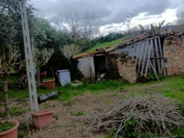 Rustico in vendita a Colleverde, Marche