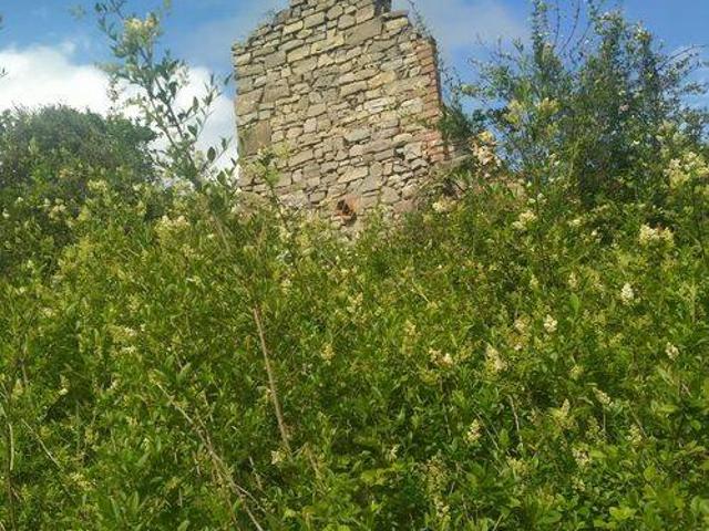 Rustico in vendita a Sant'Arcangelo, Magione