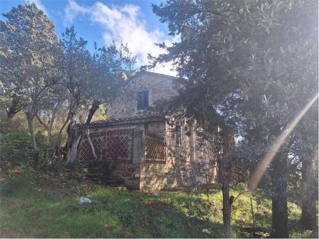 Rustico in vendita a Magione, Umbria