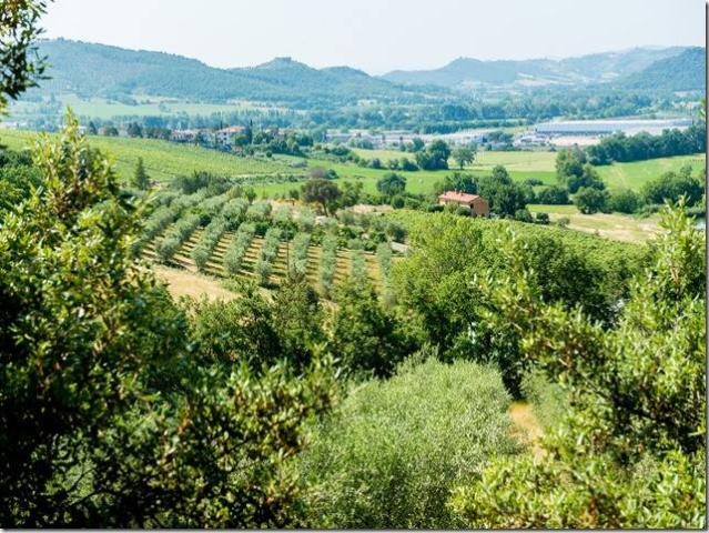 Rustico in vendita a Magione, Umbria