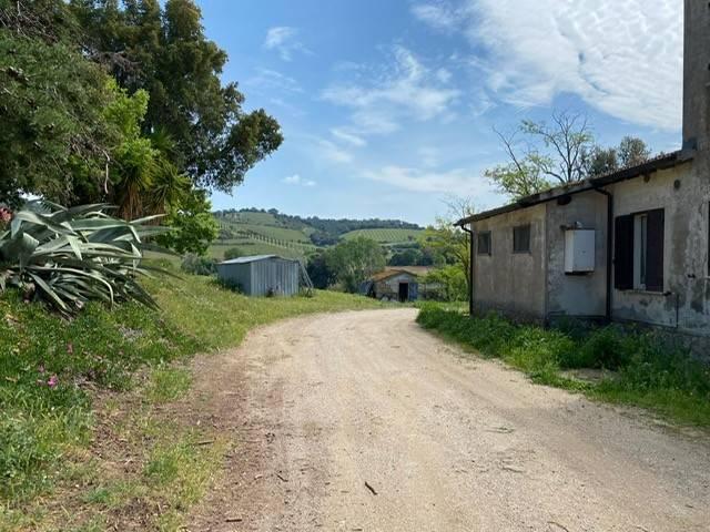 Rustico in vendita a Montiano, Magliano In Toscana