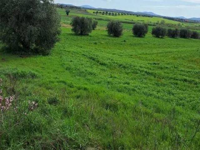 Rustico in vendita a Magliano In Toscana, Toscana
