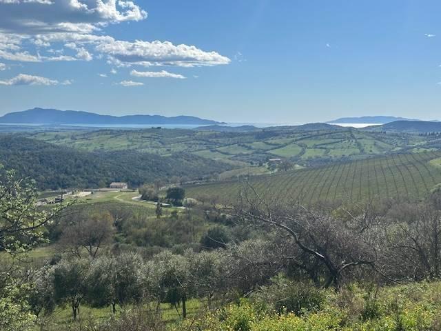Rustico in vendita a Magliano In Toscana, Toscana