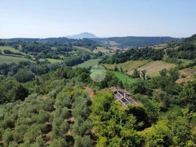 Rustico in vendita a Magliano Sabina, Lazio