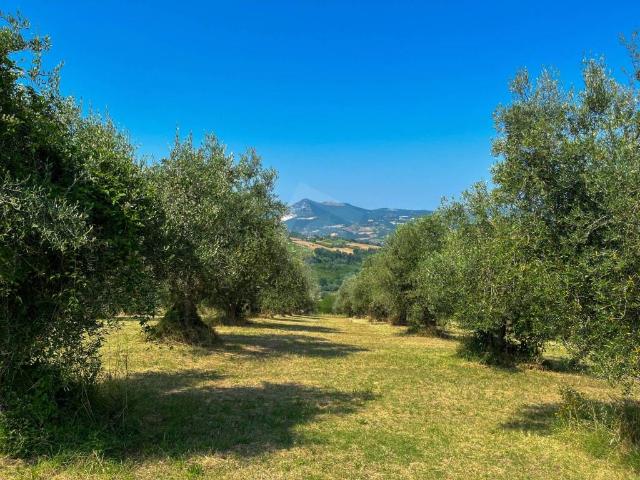 Rustico in vendita a Marche, Ancona