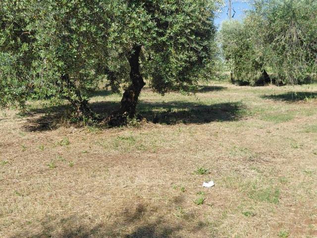 Rustico in vendita a Unione di Comuni Montani Colline del Fiora, Manciano