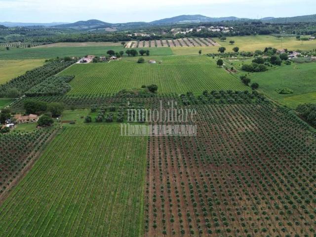 Rustico in vendita a Unione di Comuni Montani Colline del Fiora, Manciano