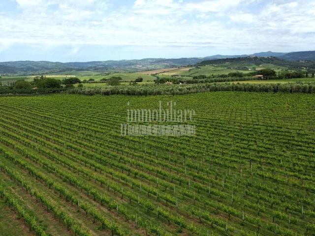 Rustico in vendita a Unione di Comuni Montani Colline del Fiora, Manciano