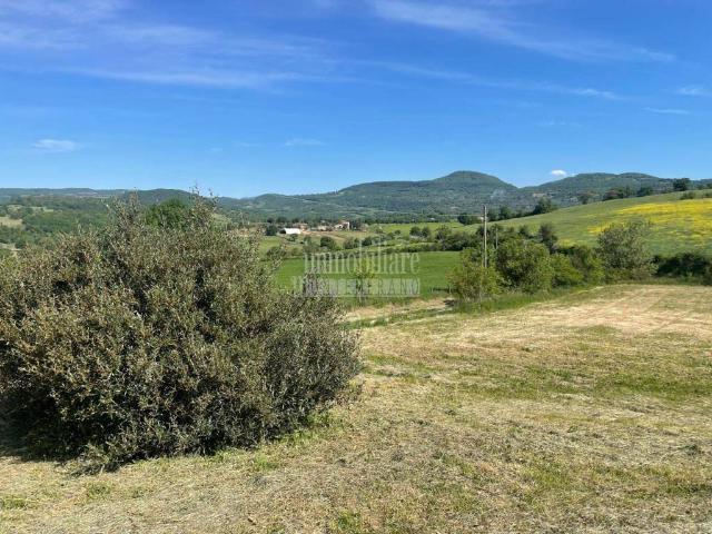 Rustico in vendita a Unione di Comuni Montani Colline del Fiora, Manciano