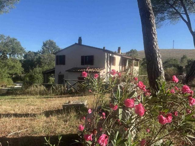 Rustico in vendita a Saturnia, Manciano