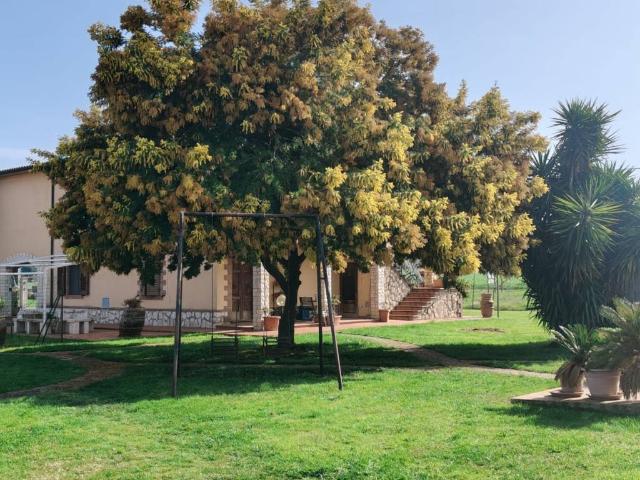 Rustico in vendita a Saturnia, Manciano