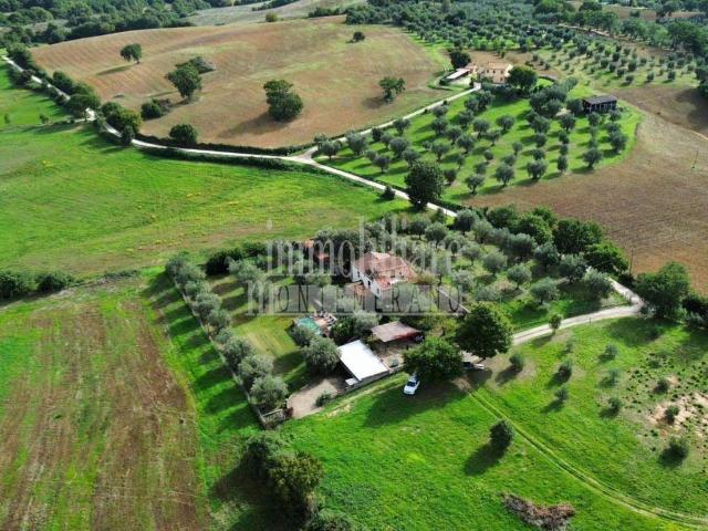 Rustico in vendita a Unione di Comuni Montani Colline del Fiora, Manciano