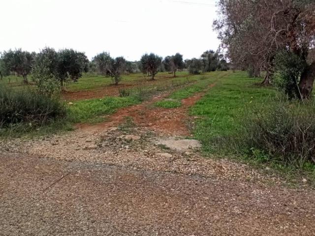 Rustico in vendita a Puglia, Taranto