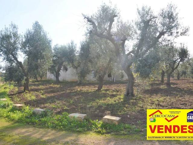 Rustico in vendita a Puglia, Taranto
