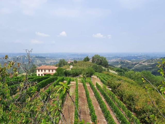 Rustico in vendita a Piemonte, Cuneo