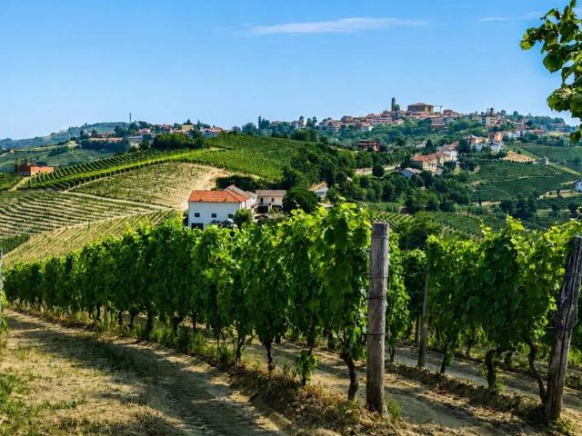 Rustico in vendita a Piemonte, Cuneo