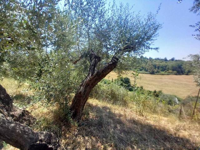 Rustico in vendita a Marcellina
