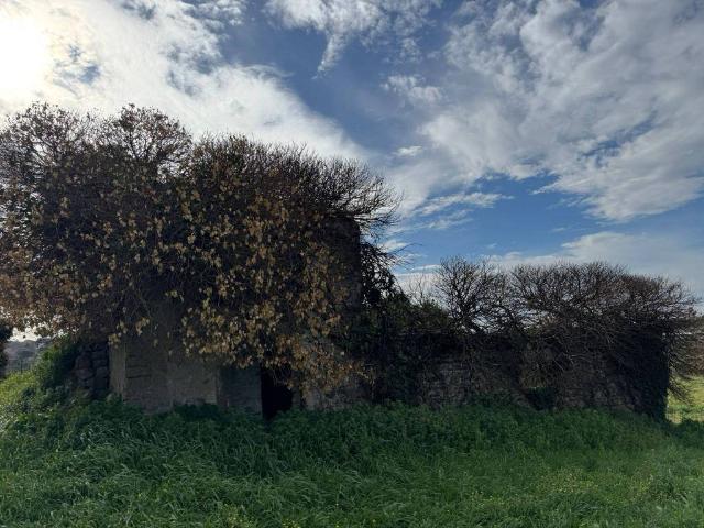 Rustico in vendita a Roma Capitale, Lazio