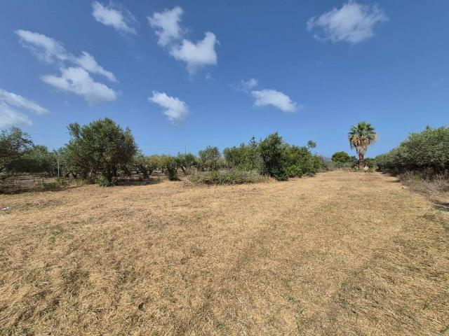 Rustico in vendita a Marsala, Sicilia