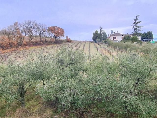 Rustico in vendita a Marsciano, Umbria
