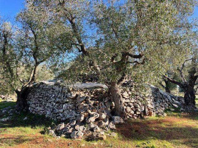 Rustico in vendita a Puglia, Taranto
