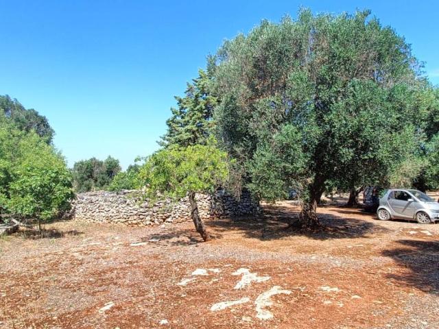 Rustico in vendita a Puglia, Taranto