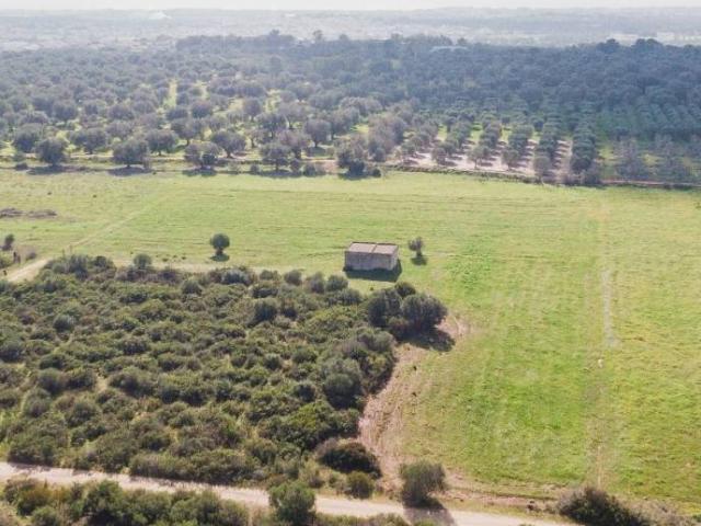 Rustico in vendita a Puglia, Taranto