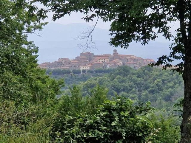 Rustico in vendita a Monacelle, Massa Marittima