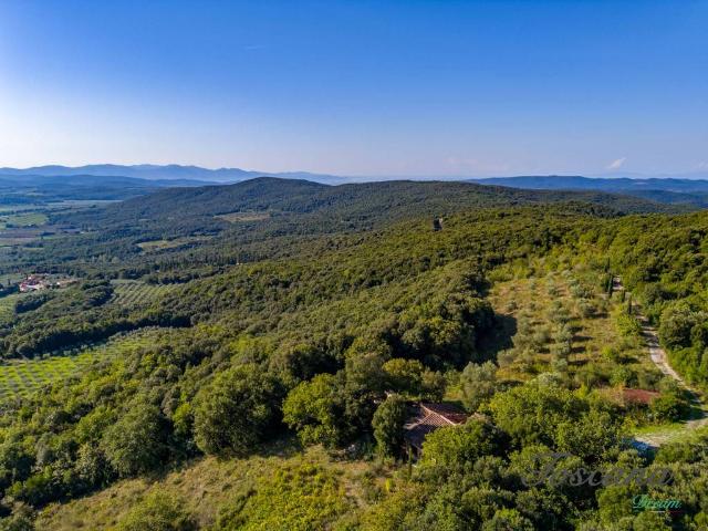 Rustico in vendita a Massa Marittima, Toscana