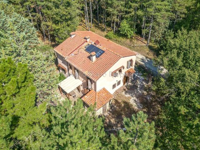 Rustico in vendita a Fontalcinaldo, Massa Marittima